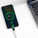 Wiwu Wi-C038 Titan Serisi Type-C to Type-C PD 100W LED Dijital Göstergeli Şarj ve Data Kablosu 1.2M - 4