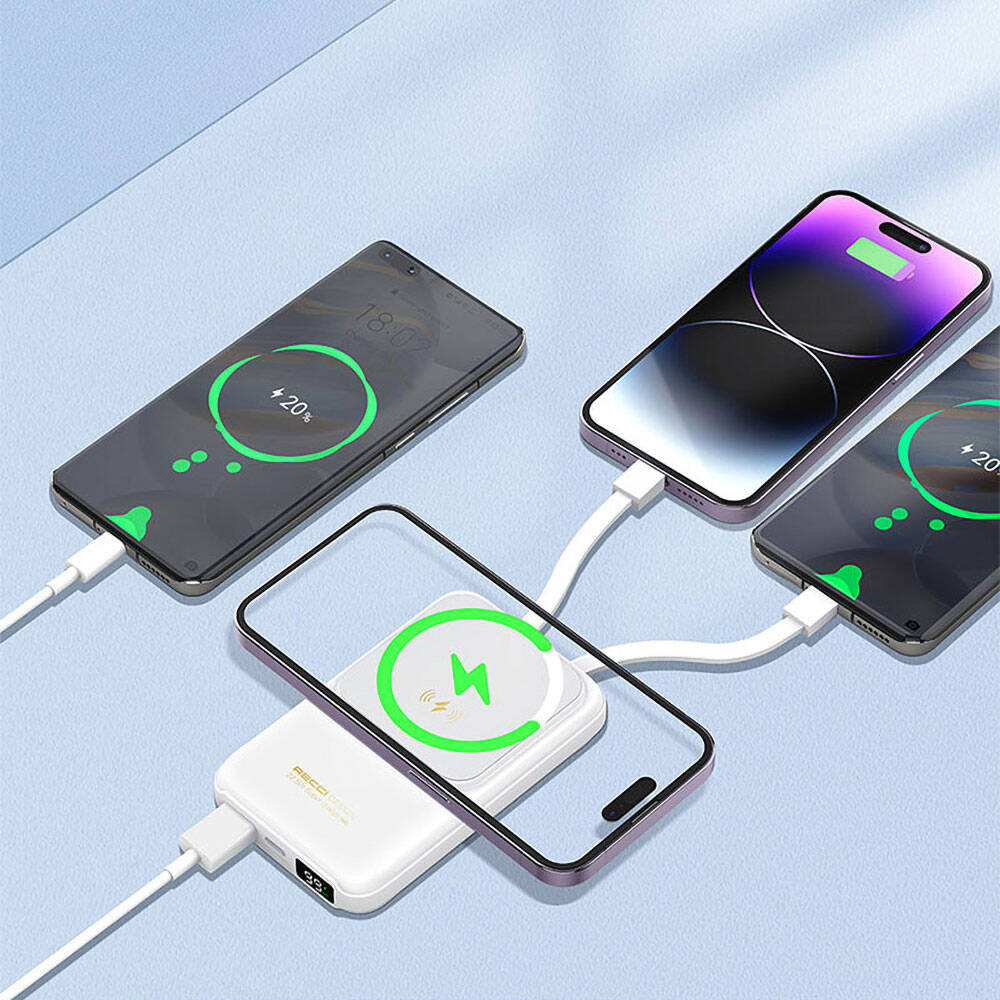 Recci RPB-W10 Polaris Serisi Çift Kablolu LED Dijital Göstergeli Wireless Powerbank 15W 10000mAh - 6