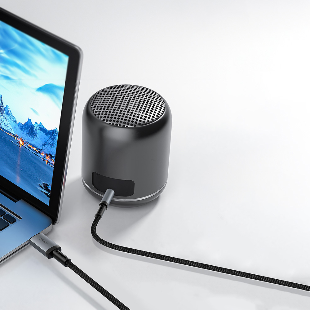 Wiwu Wi-C048 Legend Audio Serisi Lightning to 3.5mm Aux Ses Kablosu 1.5M - 4