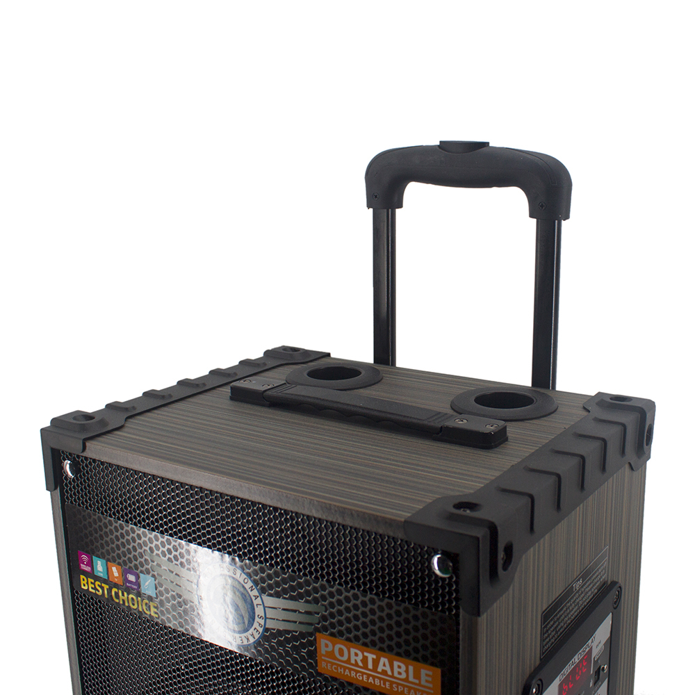 Zore LT-910 Dijital LED Göstergeli FM Radyolu Mikrofonlu Gitar Girişli TWS 10 inç Stereo Bass Kablosuz Karaoke Hoparlör - 4