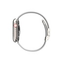 Apple Watch 10 42mm Amazingthing Titan Metal Hasır Kordon - 1