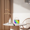 Lenyes S229 RGB Işıklı Askılı Mikrofonlu Bluetooth Speaker Hoparlör v5.3 - 3