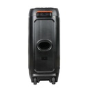 Zore LT-2131 Dijital LED Göstergeli Mikrofonlu RGB TWS Çift 8 inç Stereo Bass Kablosuz Karaoke Hoparlör - 3