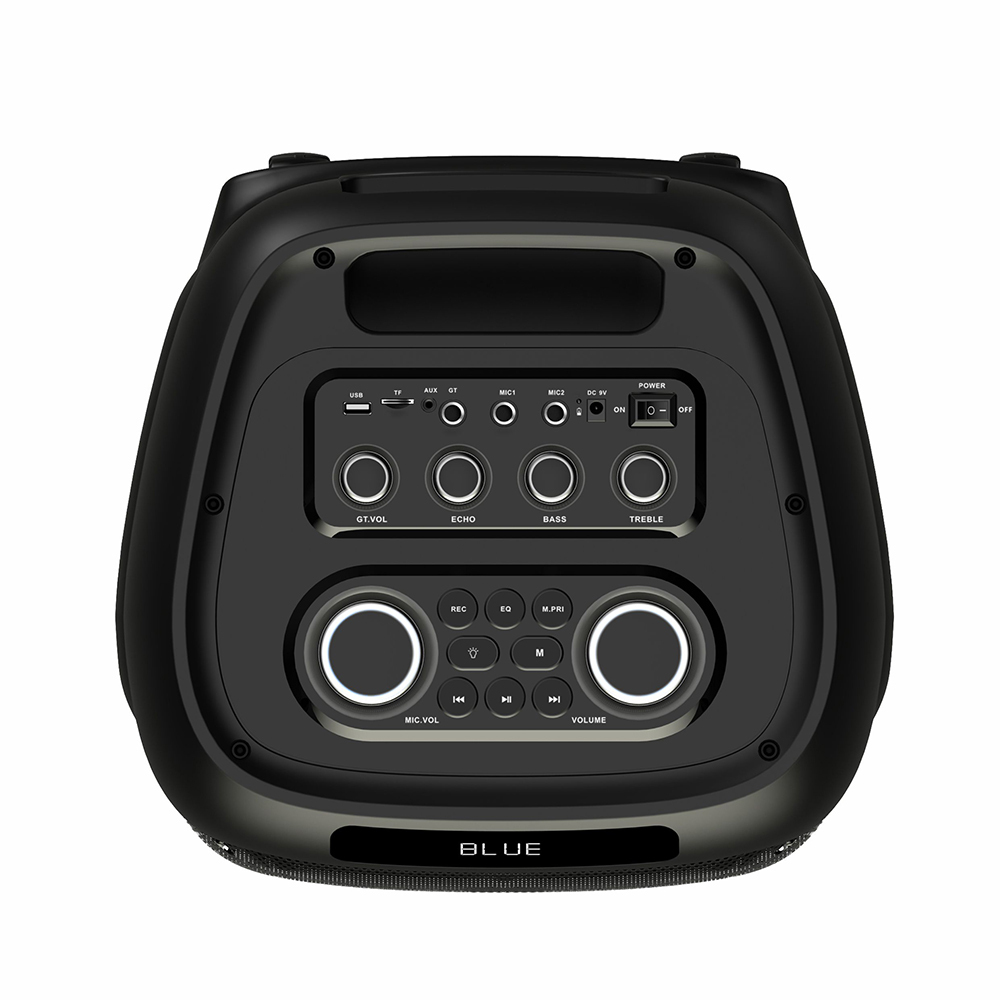 Zore LT-2131 Dijital LED Göstergeli Mikrofonlu RGB TWS Çift 8 inç Stereo Bass Kablosuz Karaoke Hoparlör - 4