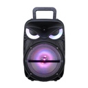 Zore PK-17 FM Radyolu Mikrofonlu RGB TWS 8 inç Stereo Bass Kablosuz Karaoke Hoparlör - 1