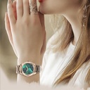 Lenyes LW-252 iOS ve Android Uyumlu Akıllı Saat - 1