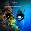 Jmary FM-72RGB IPX8 Sertifikalı RGB Su Altı Kamera Işığı - 8