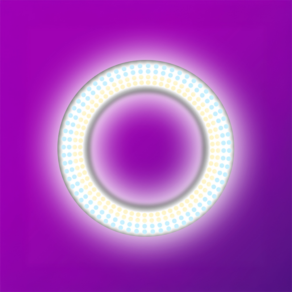 Zore LJJ22 RGB Light 56cm Işıklı Telefon Tutucu Ring Light - 2