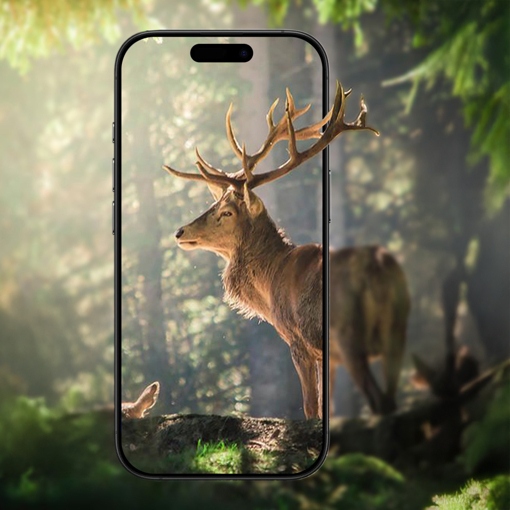 Apple iPhone 17 Zore Mikro Kamera Lens Koruyucu - 20