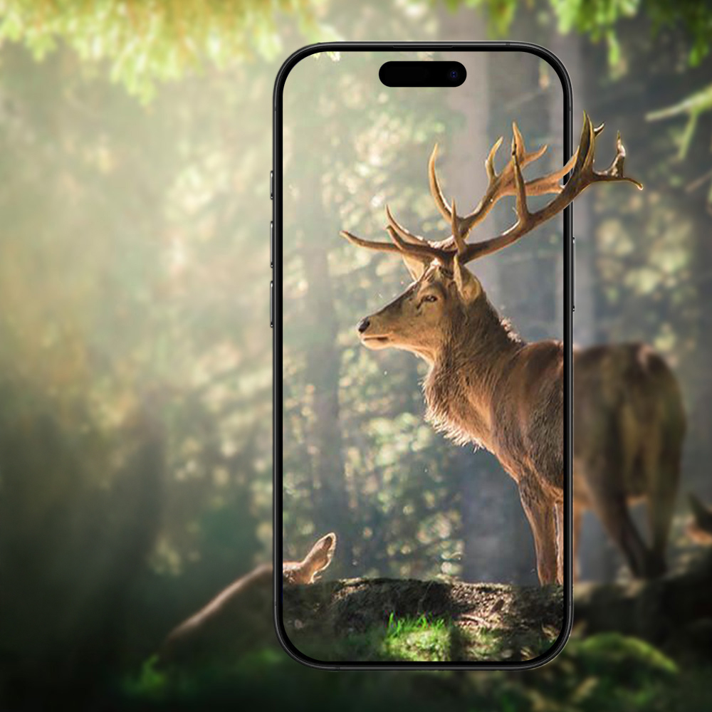 Apple iPhone 17 Air Zore Mikro Kamera Lens Koruyucu - 17