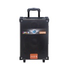 Zore LT-912 Dijital LED Göstergeli FM Radyolu Mikrofonlu Gitar Girişli TWS 12 inç Stereo Bass Kablosuz Karaoke Hoparlör - 1