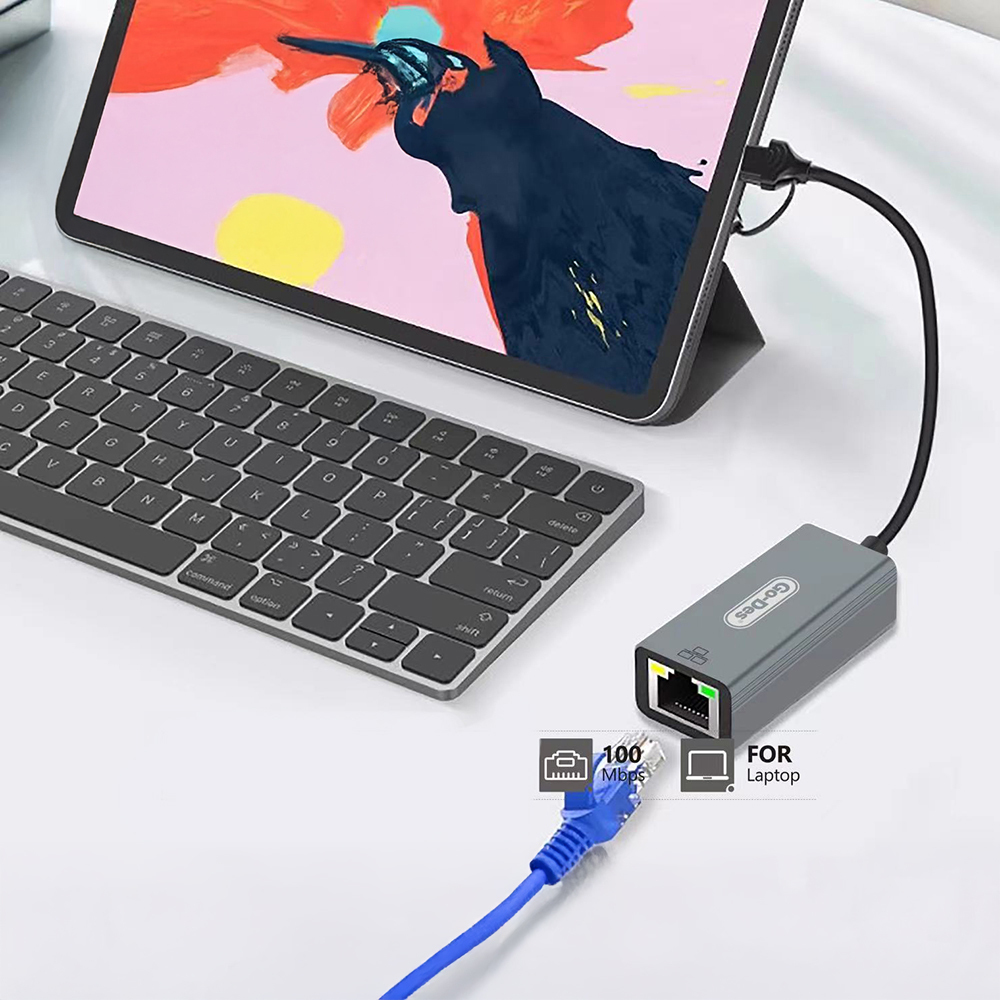 Go Des GD-6871 RJ45 Type-C ve USB-A Ethernet Dönüştürücü Kablo 100Mbps - 1
