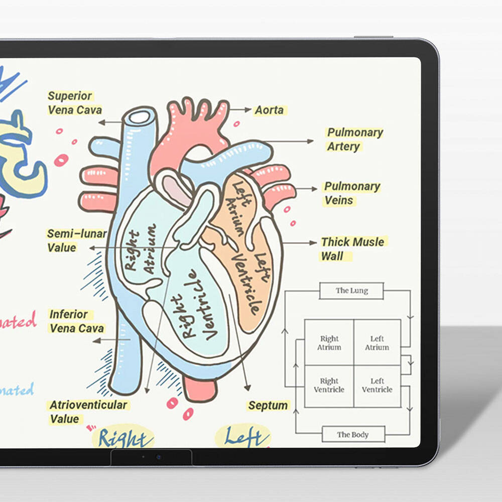Apple iPad Pro 11 Uyumlu 2024 Kağıt Hisli Benks Mat Paper-Like Ekran Koruyucu - 6