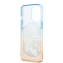 Apple iPhone 14 Uyumlu Pro Uyumlu Max Uyumlu Case U.S. Polo Assn. Color Leaf Printed Design Cover - 5