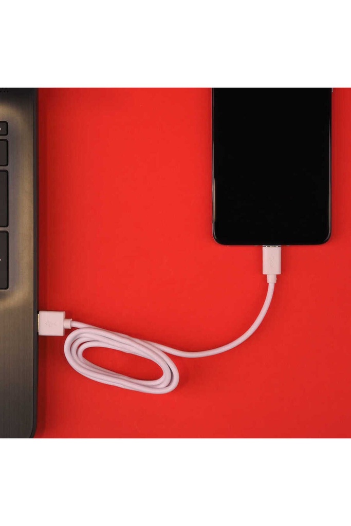 Zore MCL-03 Type-C Usb Kablo