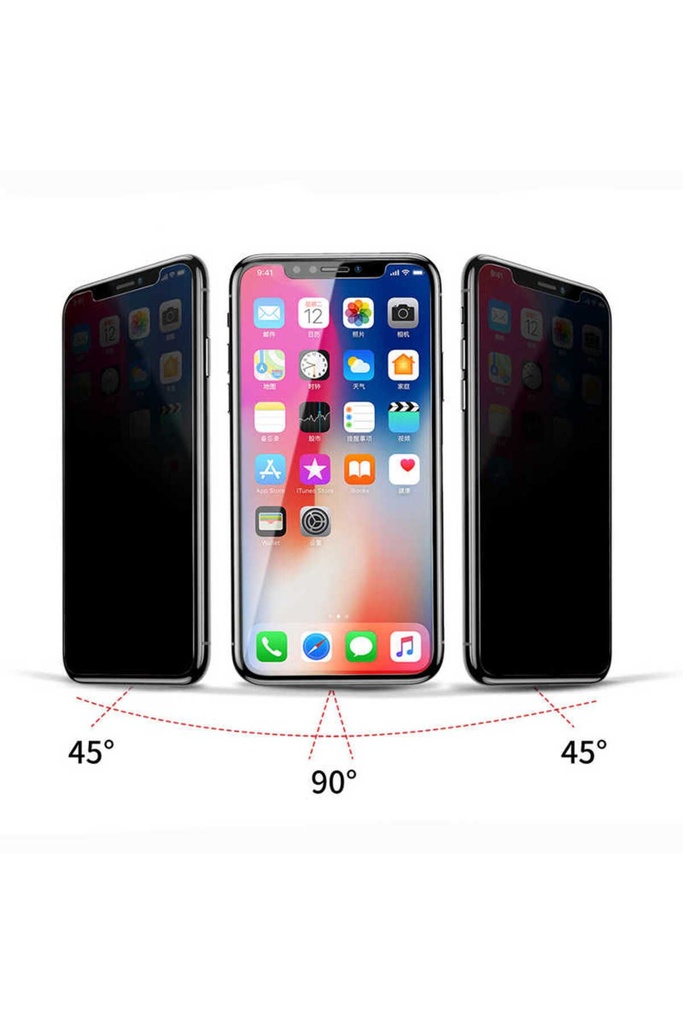 Apple iPhone X Uyumlu ​​​​​​​​​​​​Zore Rika Premium Privacy Temperli Cam Ekran Koruyucu
