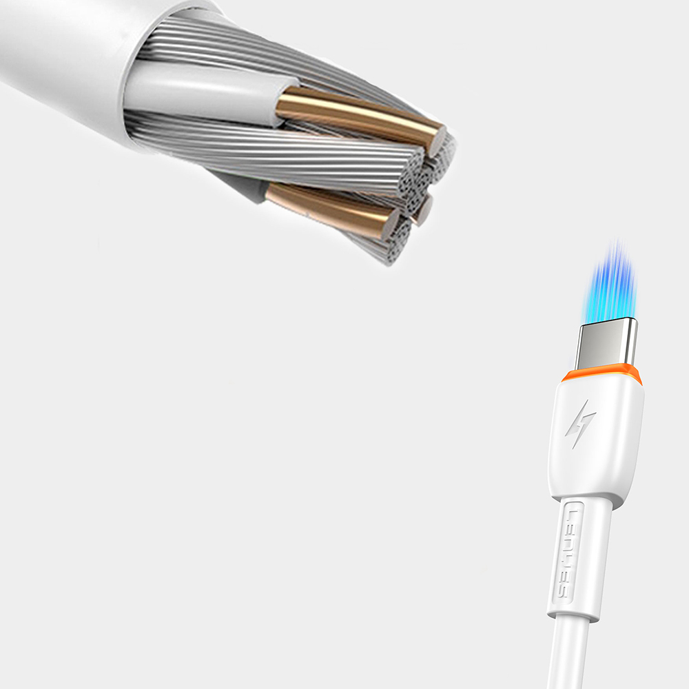 Lenyes LC545 Type-C to Lightning Hızlı Şarj Özellikli Data ve Şarj Kablosu 30W 1M - 1