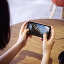 Benks D30 Lightning Game Kablo With Dual Suction 1.2M - 3