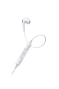 Baseus Encok C17 Type-C Kablolu Hd Mikrofonlu Kulaklık