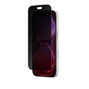 Apple iPhone 18 Pro Max Amazingthing Titan Privacy Matte Parmak İzi Bırakmayan Mat Temperli Cam Ekran Koruyucu - 2
