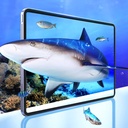 Apple iPad Pro 11 Uyumlu 2024 Wiwu Wi-GQ003 iVista Serisi Oleofobik HD Temperli Cam Ekran Koruyucu - 8