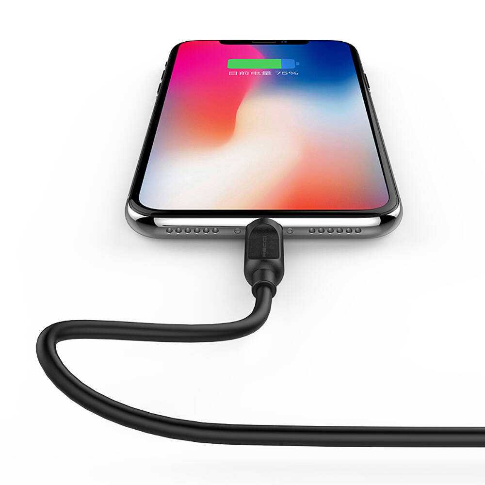 Recci RCL-P100 City of Sky Serisi Lightning to USB-A Data ve Şarj Kablosu 1M - 4
