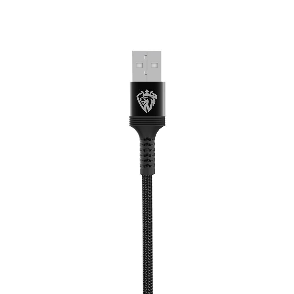 Lenyes LC980 USB-A to Type-C LED Hızlı Şarj Özellikli Örgülü Data ve Şarj Kablosu 1M 2.4A - 4