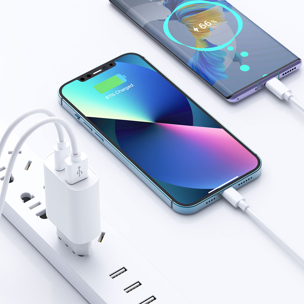 Wiwu Wi-U002 Quick Type-C PD & USB-A QC Hızlı Şarj Başlığı 20W - 3