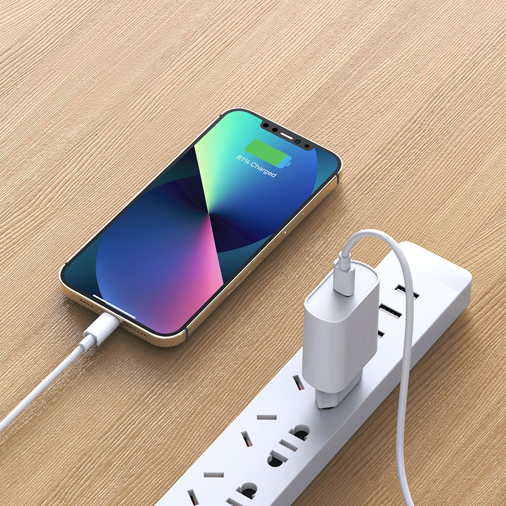 Wiwu Wi-U001 Quick 20W Tek Bağlantılı Şarj Başlığı Type-C to Lightning PD 20W Kablolu Şarj Seti - 4