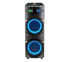 Zore GD-2016 Dijital LED Göstergeli FM Radyolu Mikrofonlu RGB TWS Çift 12 inç Stereo Bass Kablosuz Karaoke Hoparlör - 1