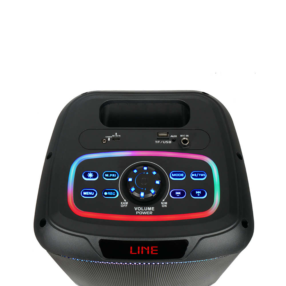 Zore GD-907 Dijital LED Göstergeli FM Radyolu Mikrofonlu RGB TWS 8 inç Stereo Bass Kablosuz Karaoke Hoparlör - 6