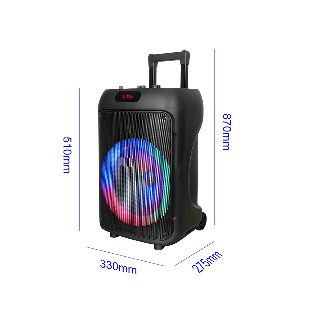 Zore GD-1203 Dijital LED Göstergeli FM Radyolu Mikrofonlu RGB TWS 12 inç Stereo Bass Kablosuz Karaoke Hoparlör - 5