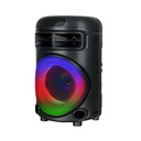 Zore GD-692 FM Radyolu Mikrofonlu RGB TWS 6.5 inç Stereo Bass Kablosuz Karaoke Hoparlör - 1