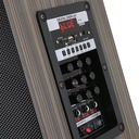 Zore LT-908 Dijital LED Göstergeli FM Radyolu Mikrofonlu TWS 8 inç Stereo Bass Kablosuz Karaoke Hoparlör - 2