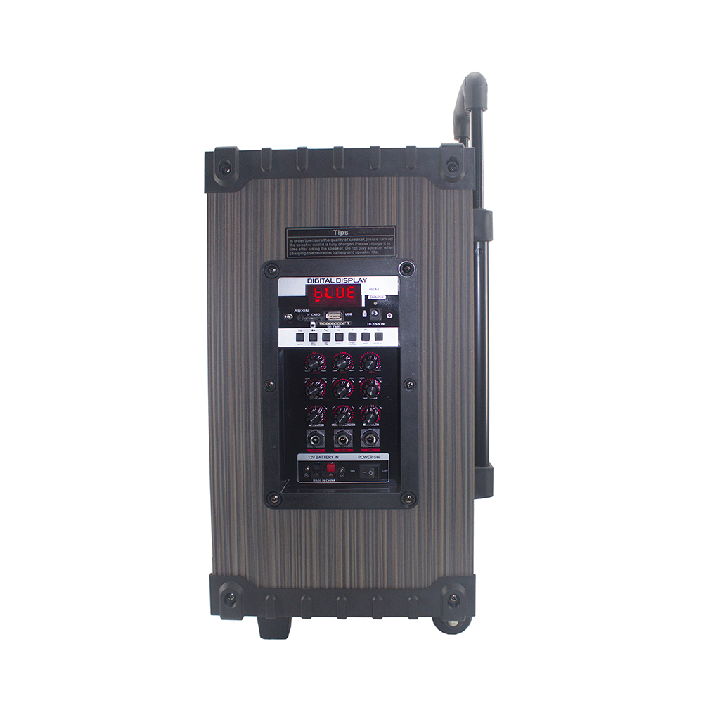 Zore LT-908 Dijital LED Göstergeli FM Radyolu Mikrofonlu TWS 8 inç Stereo Bass Kablosuz Karaoke Hoparlör - 3