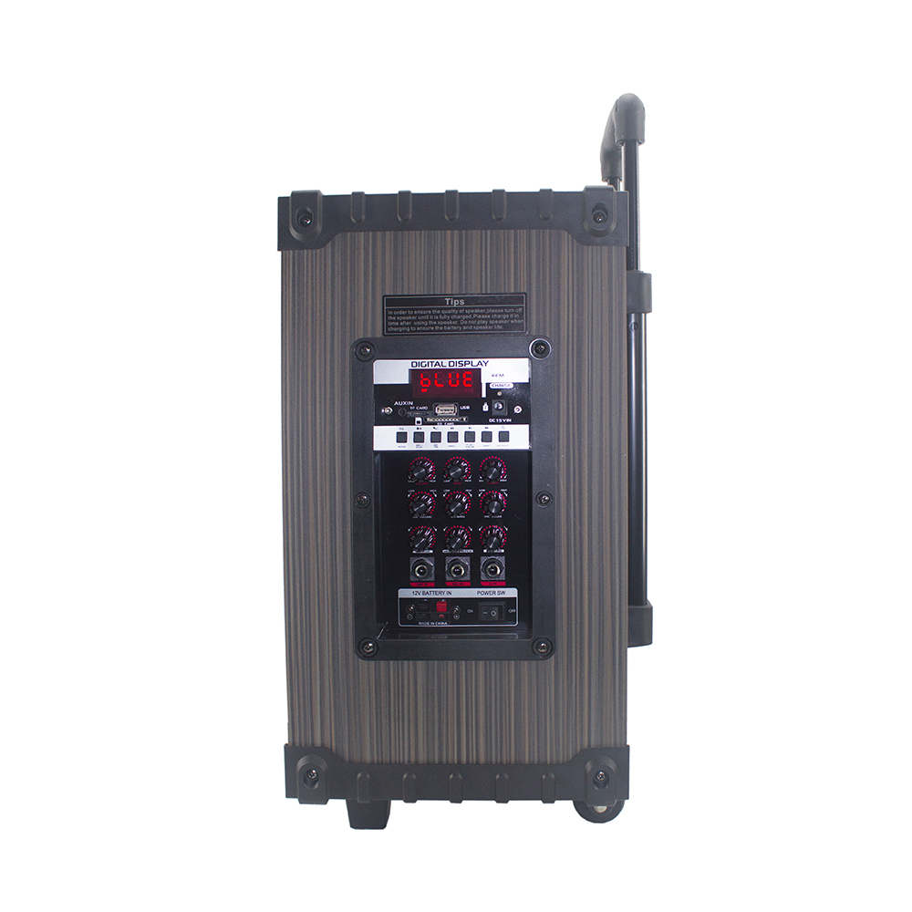 Zore LT-910 Dijital LED Göstergeli FM Radyolu Mikrofonlu Gitar Girişli TWS 10 inç Stereo Bass Kablosuz Karaoke Hoparlör - 5