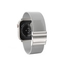 Apple Watch 10 42mm Amazingthing Titan Metal Hasır Kordon - 4