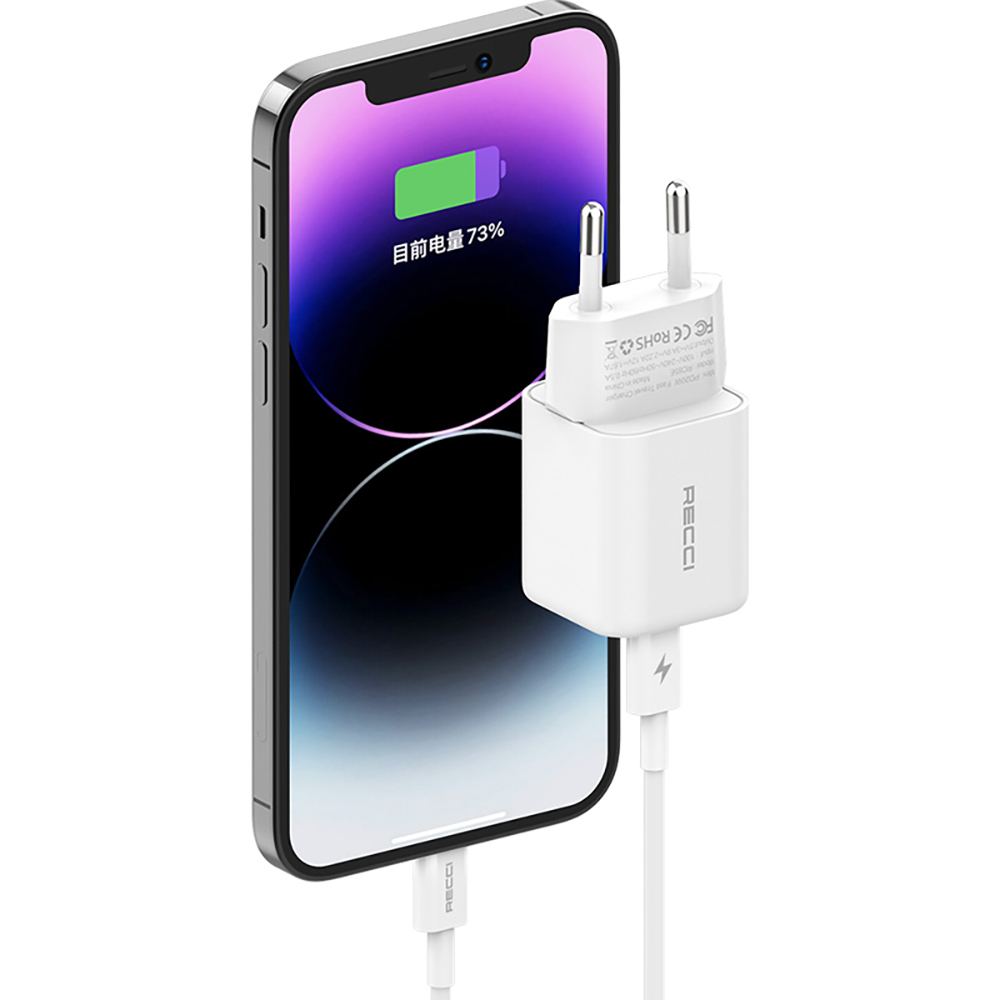 Recci RC65E Hızlı Şarj Başlığı Type-C to Lightning PD 20W Kablolu Şarj Seti - 3