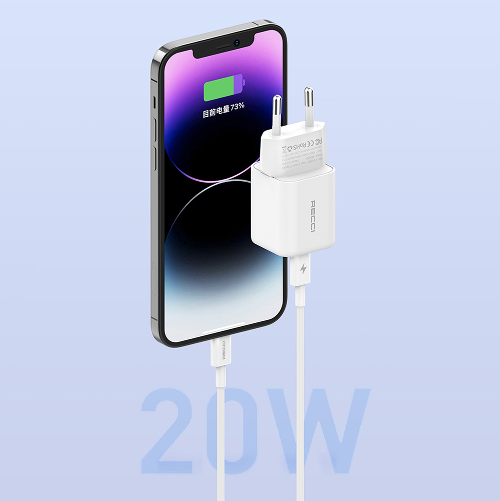 Recci RC65E Hızlı Şarj Başlığı Type-C to Lightning PD 20W Kablolu Şarj Seti - 6