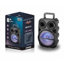 Zore PK-15 FM Radyolu Mikrofonlu RGB TWS 8 inç Stereo Bass Kablosuz Karaoke Hoparlör - 6