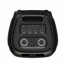 Zore LT-2131 Dijital LED Göstergeli Mikrofonlu RGB TWS Çift 8 inç Stereo Bass Kablosuz Karaoke Hoparlör - 4