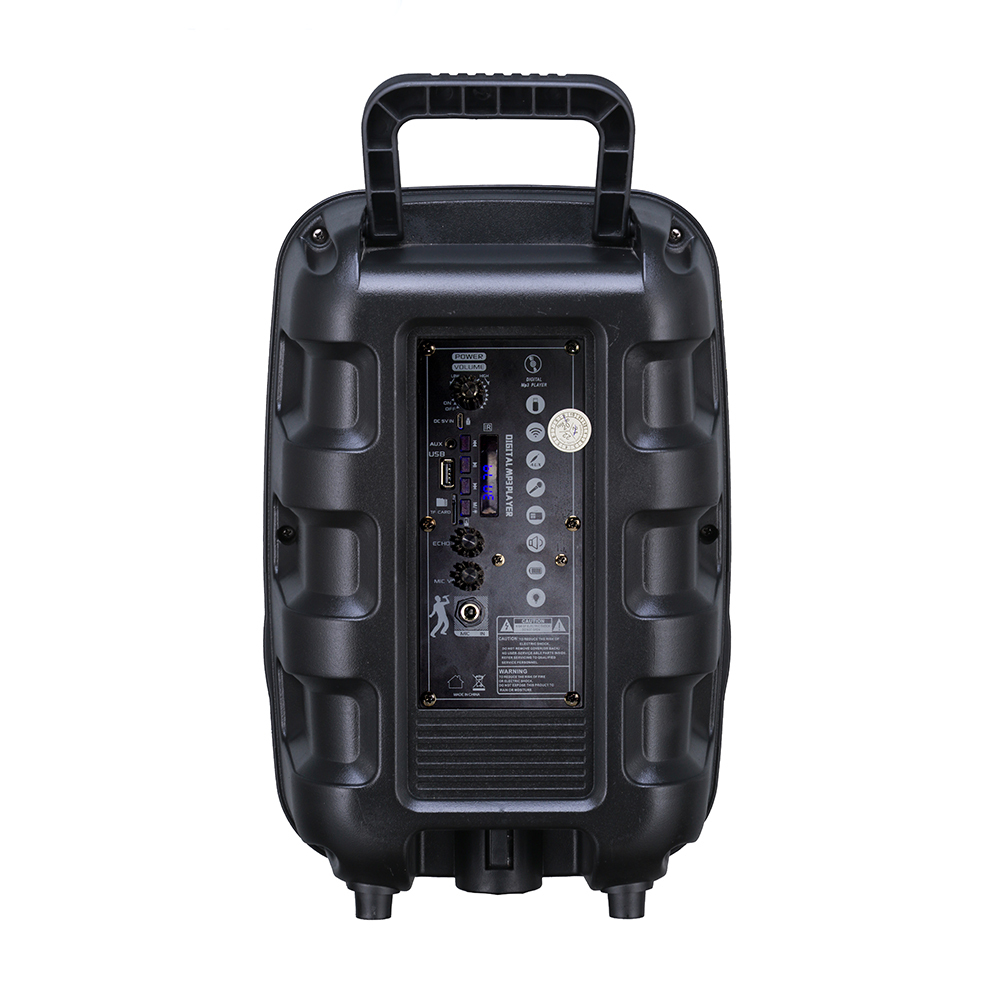 Zore PK-17 FM Radyolu Mikrofonlu RGB TWS 8 inç Stereo Bass Kablosuz Karaoke Hoparlör - 2