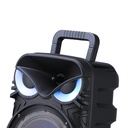 Zore PK-17 FM Radyolu Mikrofonlu RGB TWS 8 inç Stereo Bass Kablosuz Karaoke Hoparlör - 3