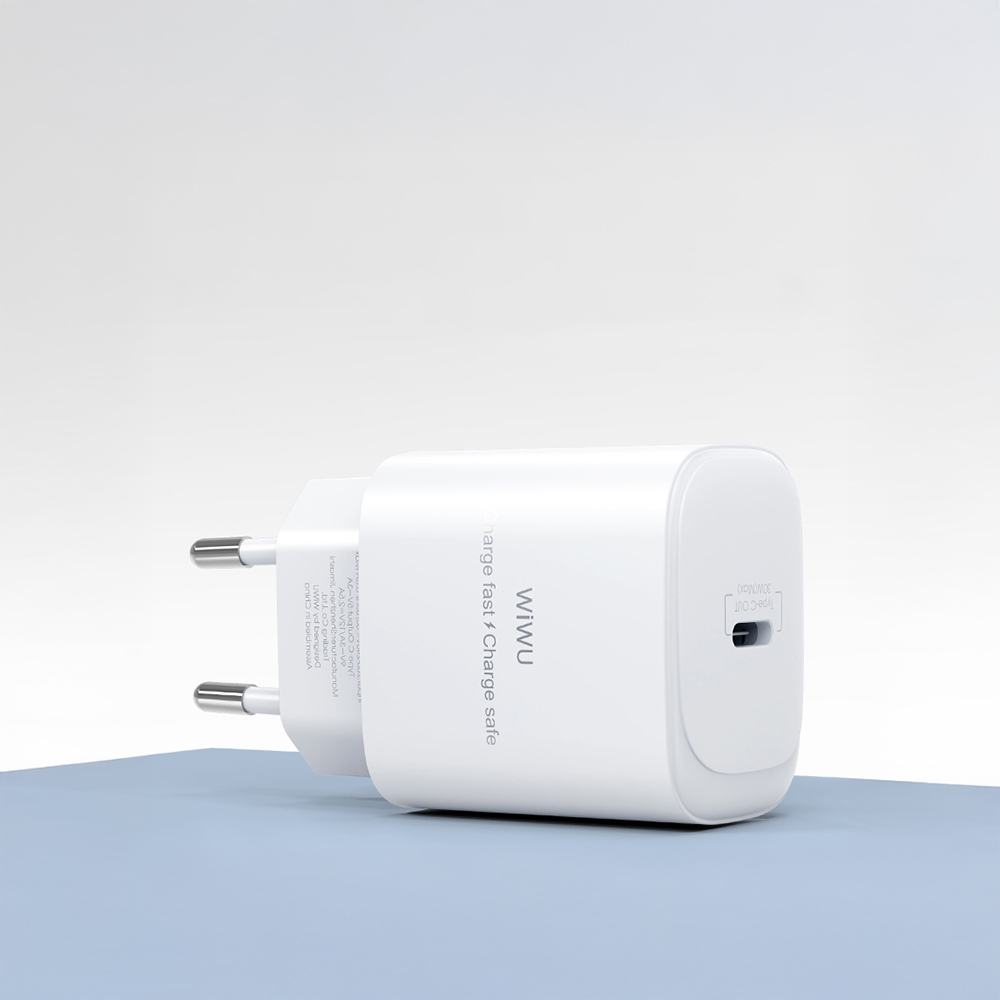 Wiwu Wi-G008 Essen Serisi GaN Tech PD Hızlı Şarj Başlığı Type-C to Type-C PD 30W Kablolu Şarj Seti - 9