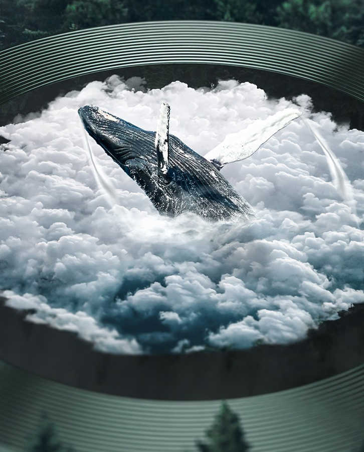 Apple iPhone 11 Pro Max Uyumlu CL-01 Kamera Lens Koruyucu - 4