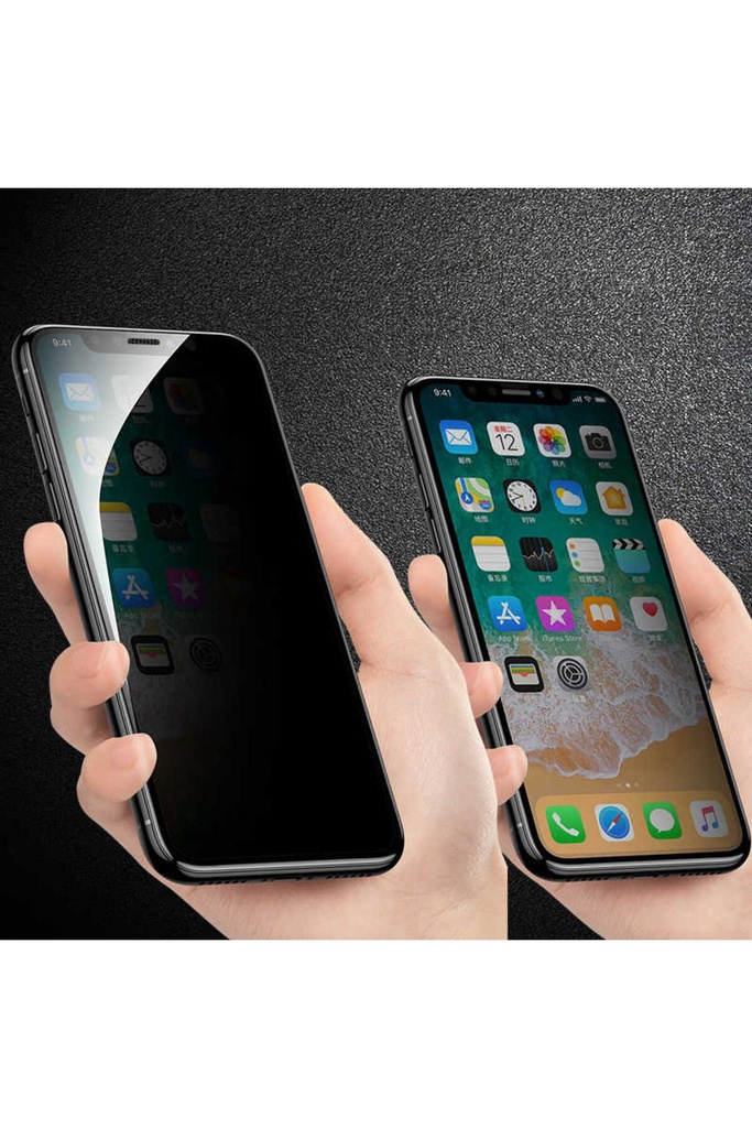 Apple iPhone X Uyumlu Zore Anti-Dust Mat Privacy Temperli Ekran Koruyucu