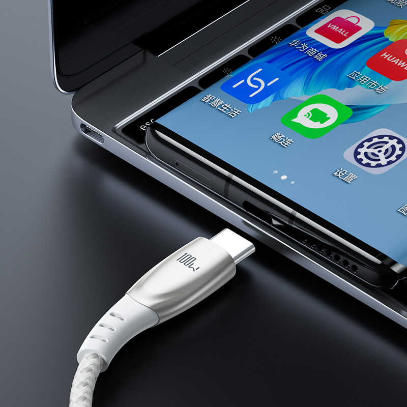 Benks D41 100W Type-C To Type-C Kablo 2M - 1