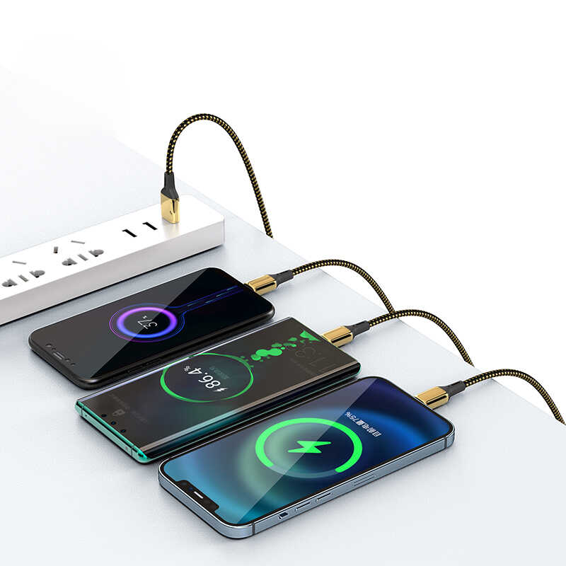 Wiwu Golden Series GD-102 Micro Data Kablo 2M - 1