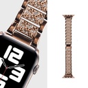 Apple Watch 38mm Uyumlu Wiwu Three Beads Set Auger Metal Kordon - 5