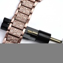 Apple Watch 38mm Uyumlu Wiwu Three Beads Set Auger Metal Kordon - 21